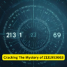 Cracking The Mystery of 2131953663