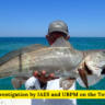 Joint Investigation by IAES and UBPM on the Totoaba Fish