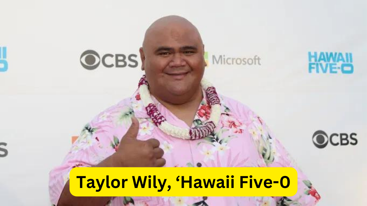 Taylor Wily, ‘Hawaii Five-0’ and ‘Forgetting Sarah Marshall’ Star, Dies at 56